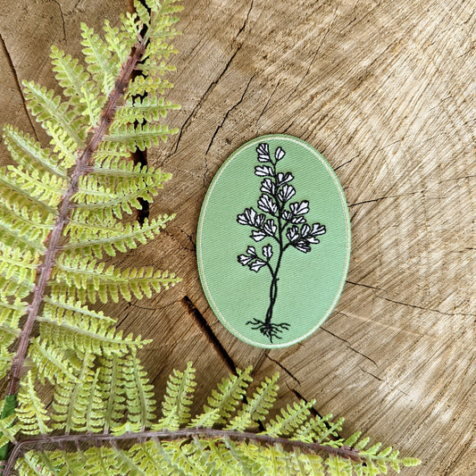 iron-on patch | maidenhair fern - green oval 3.25" x 2.25"