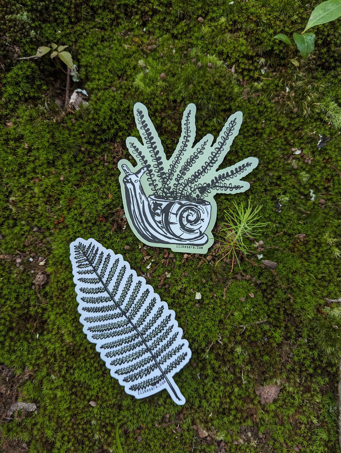 sticker | fern in snail planter - waterproof uv-resistant vinyl plant decal