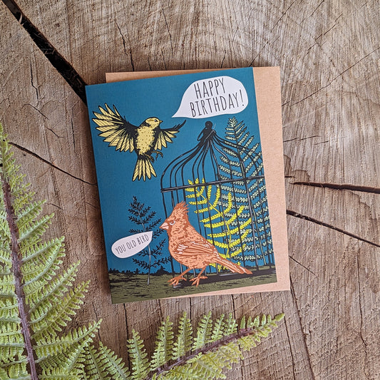 greeting card | happy birthday you old bird