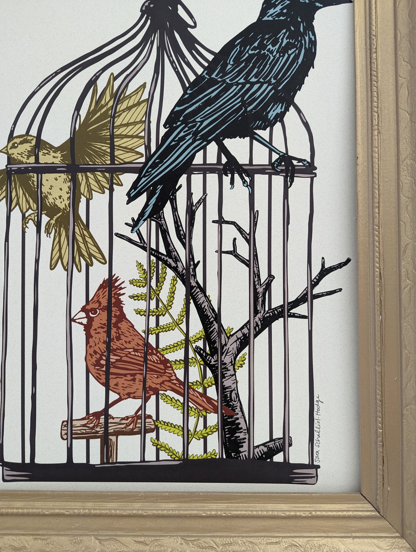 art print | caged birds 1 - finch, cardinal, & raven