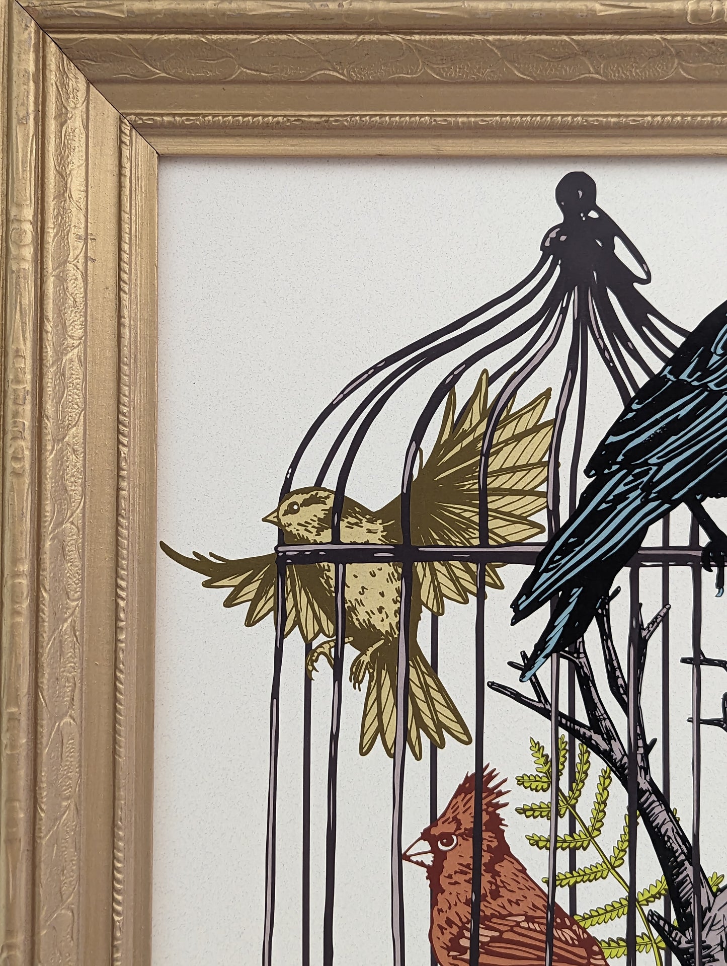 art print | caged birds 1 - finch, cardinal, & raven