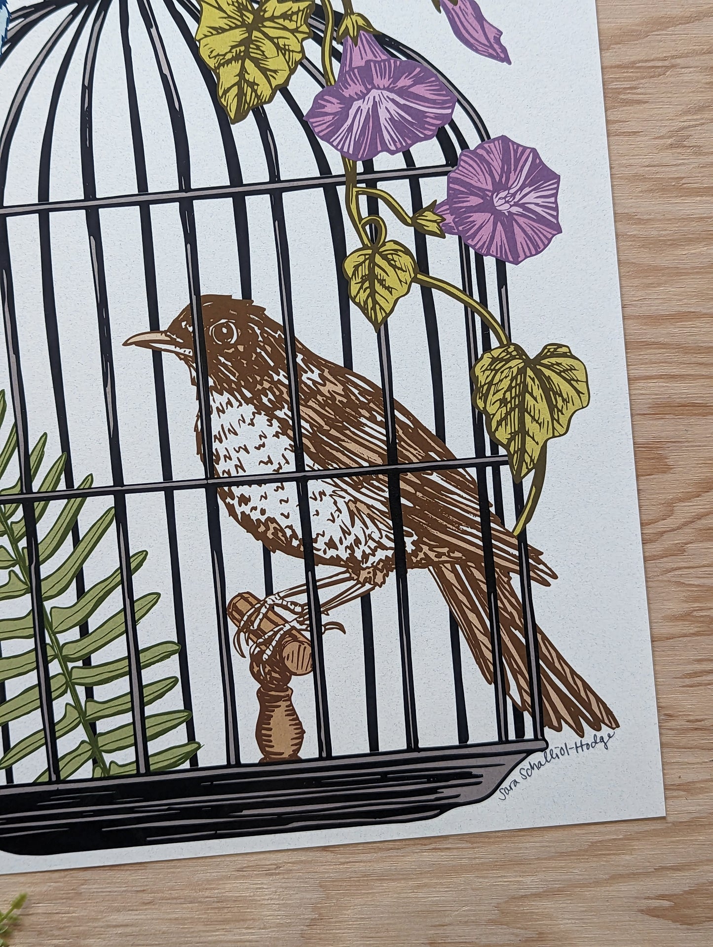 art print | caged birds 2- robin & blue bird