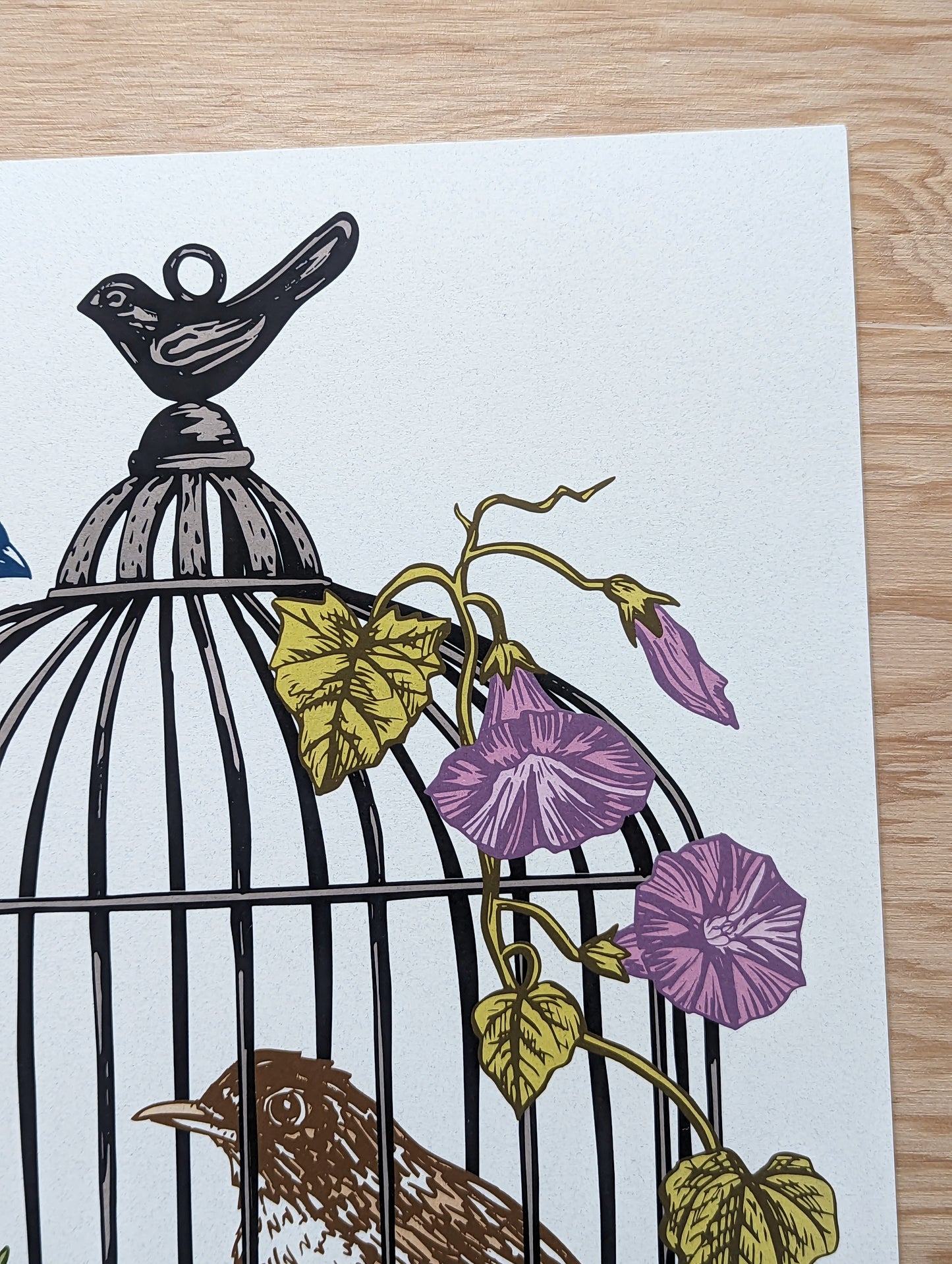 art print | caged birds 2- robin & blue bird