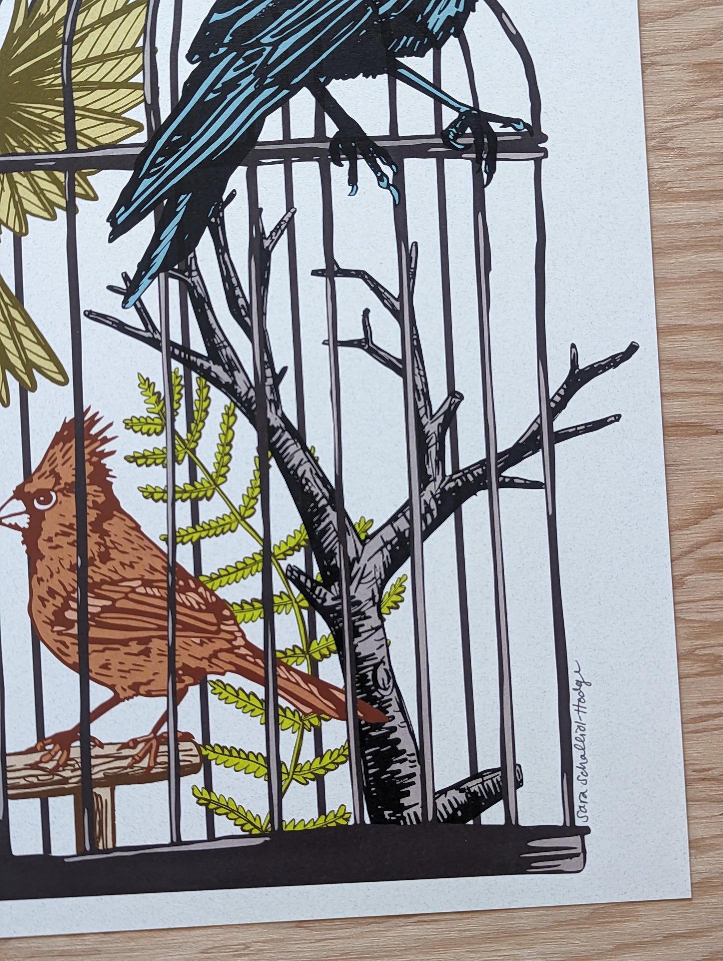 art print | caged birds 1 - finch, cardinal, & raven