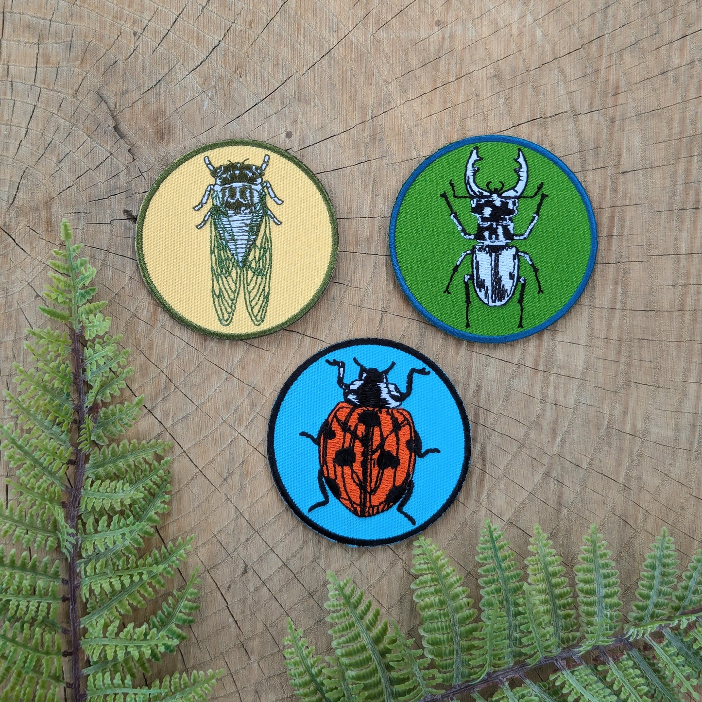iron-on patch | cicada - 2.5" round