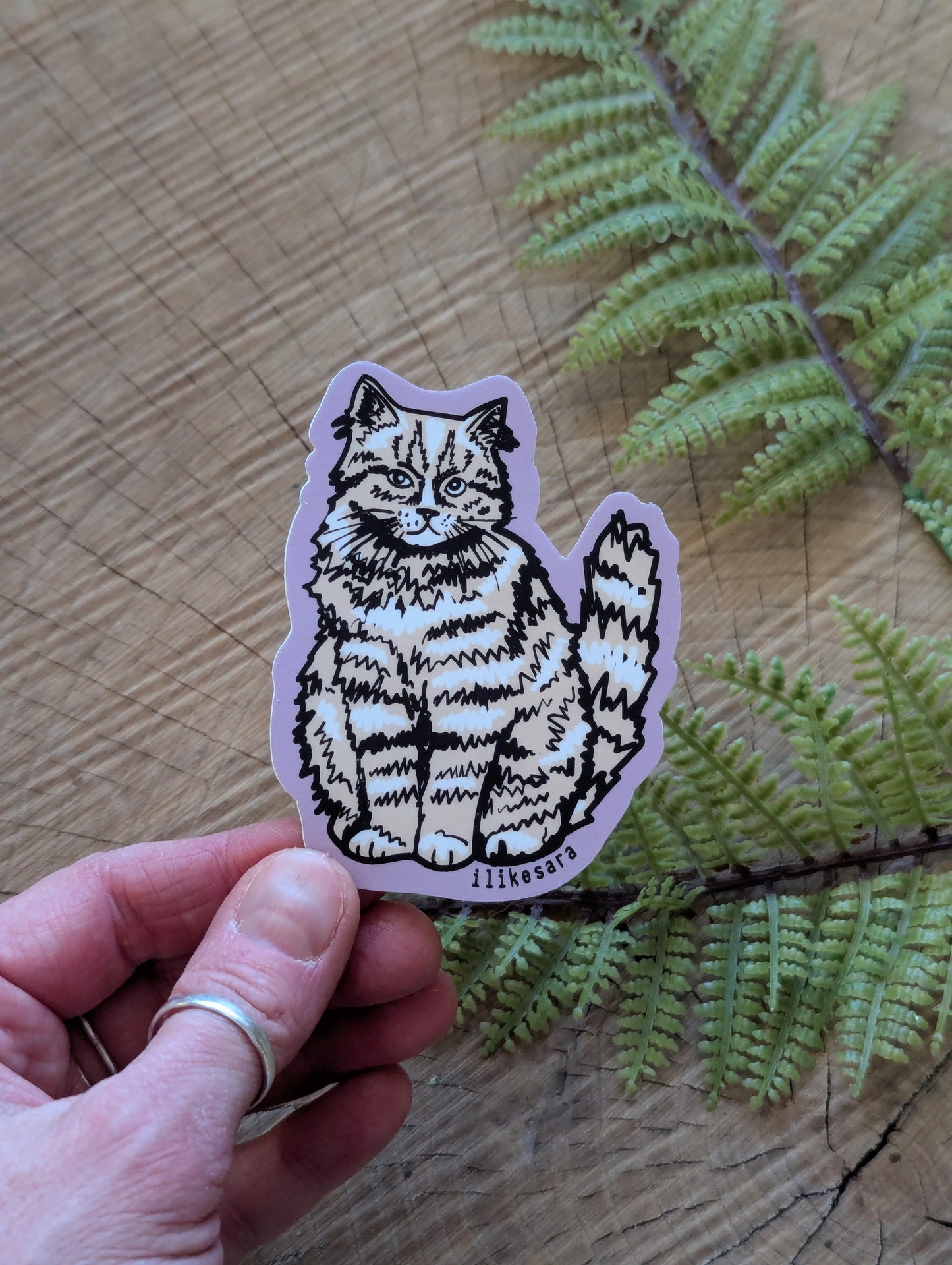 sticker | sitting fluffy tan cat - waterproof uv-resistant vinyl kitty decal