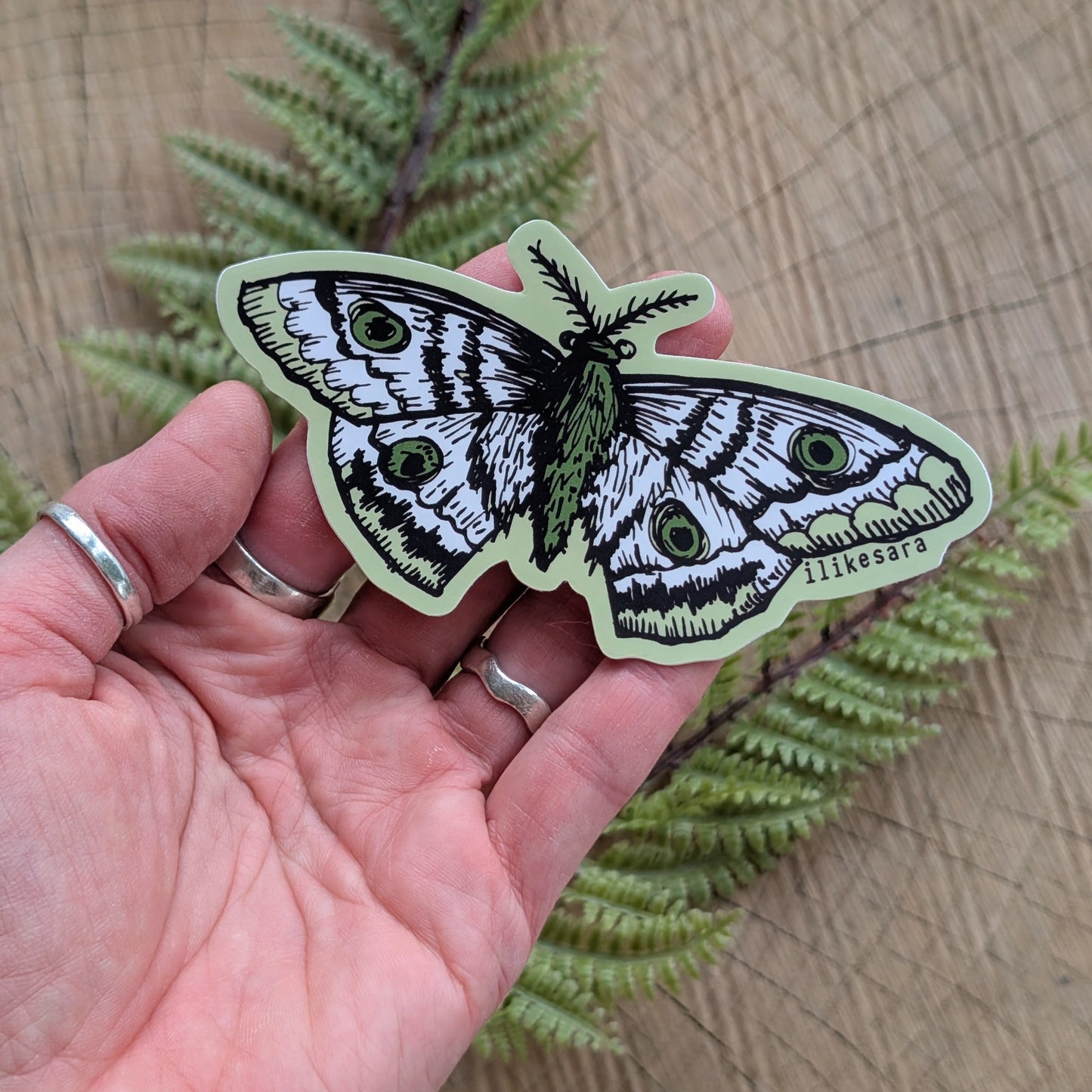 sticker | polyphemus moth - waterproof uv-resistant vinyl bug / insect decal