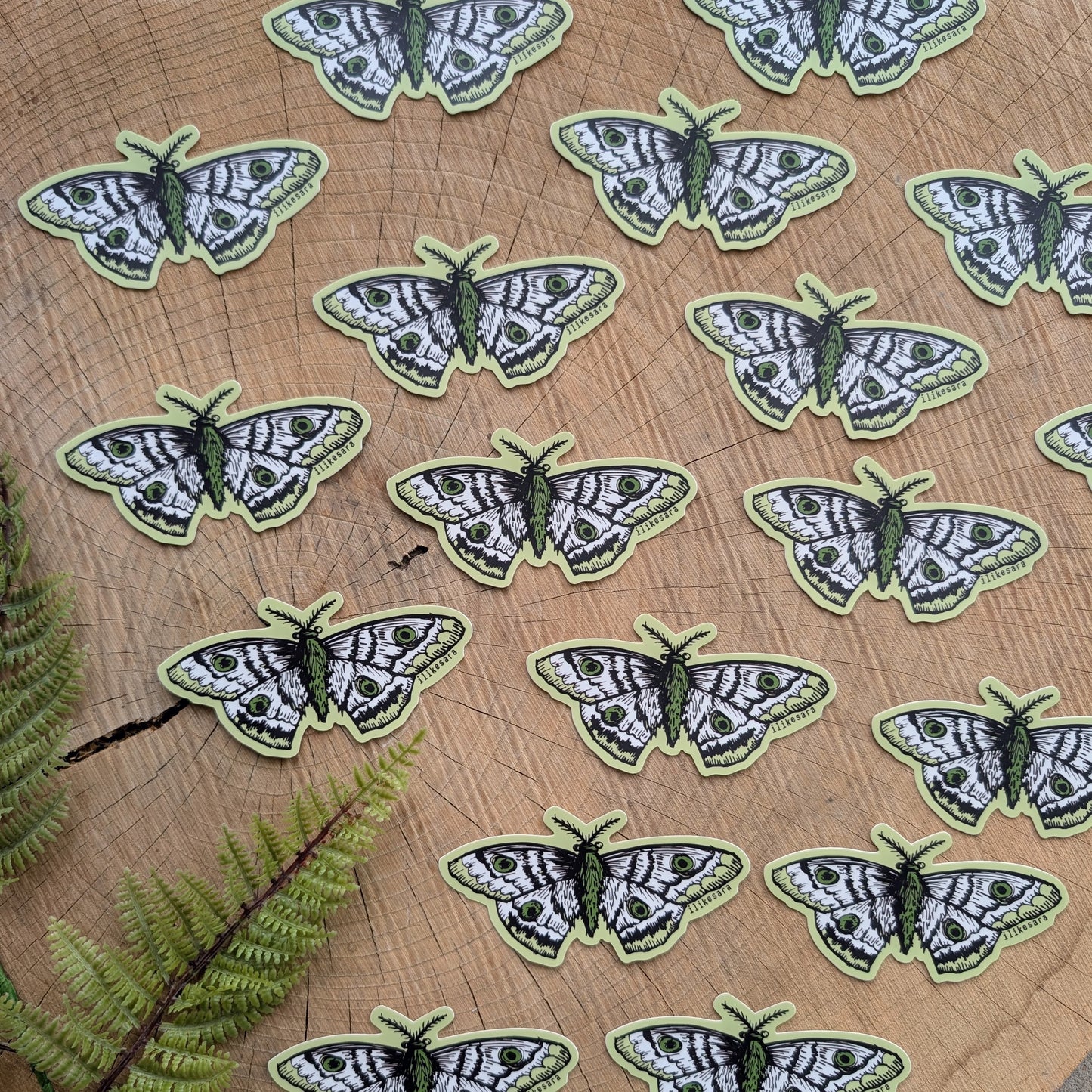 sticker | polyphemus moth - waterproof uv-resistant vinyl bug / insect decal