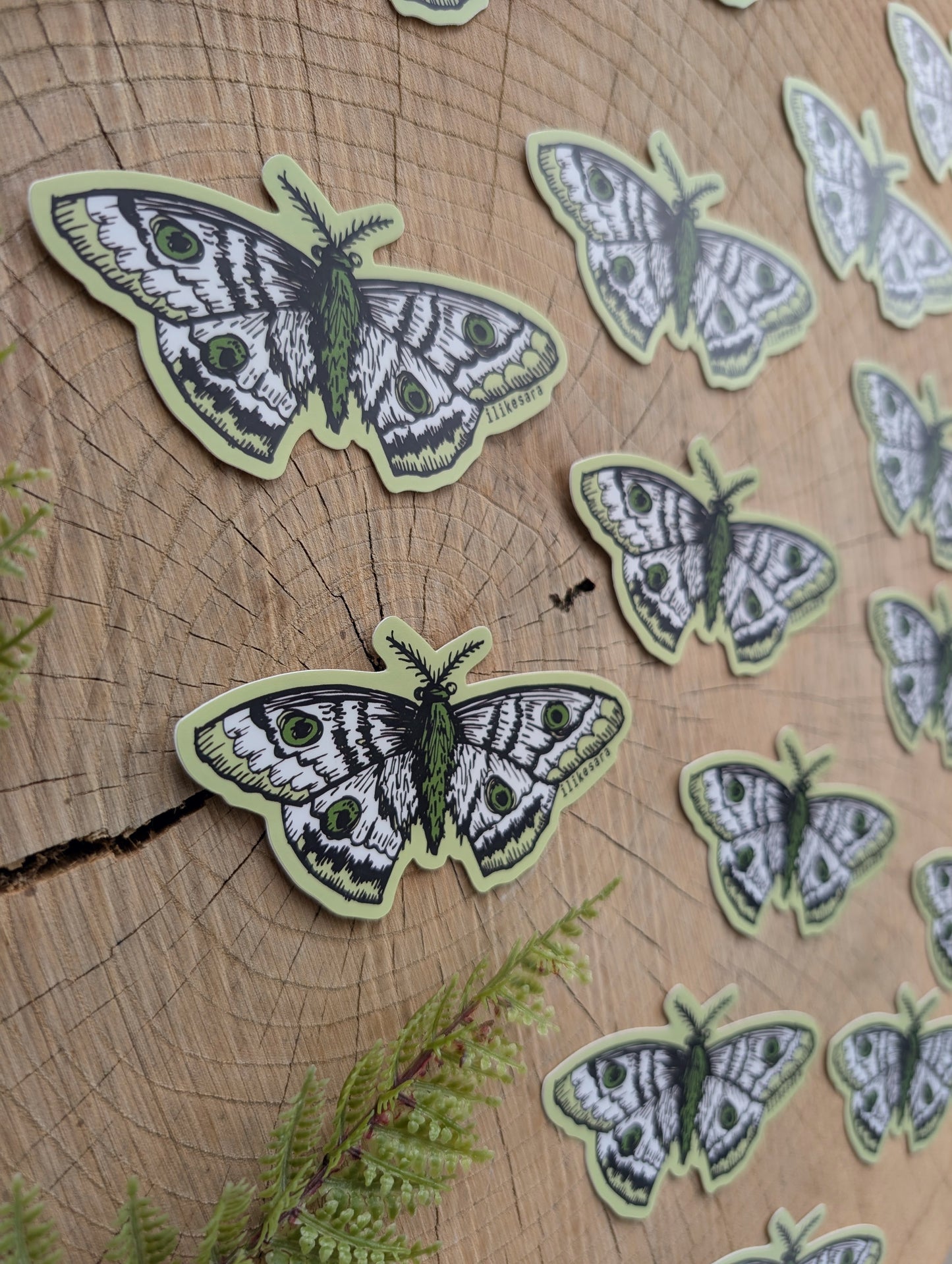 sticker | polyphemus moth - waterproof uv-resistant vinyl bug / insect decal
