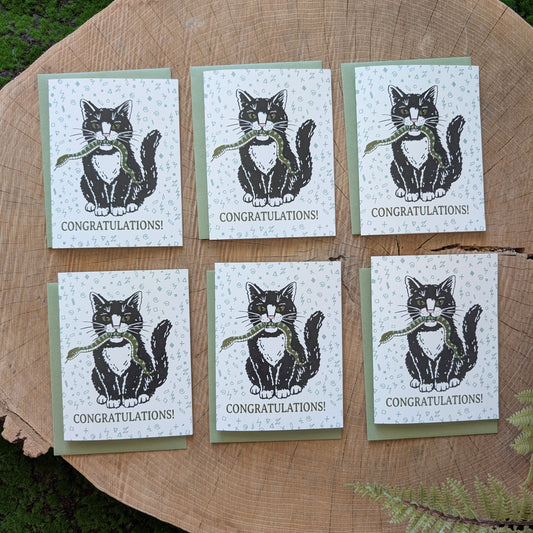greeting card | congratulations cat with snake - graduation, new baby, new job, engagement