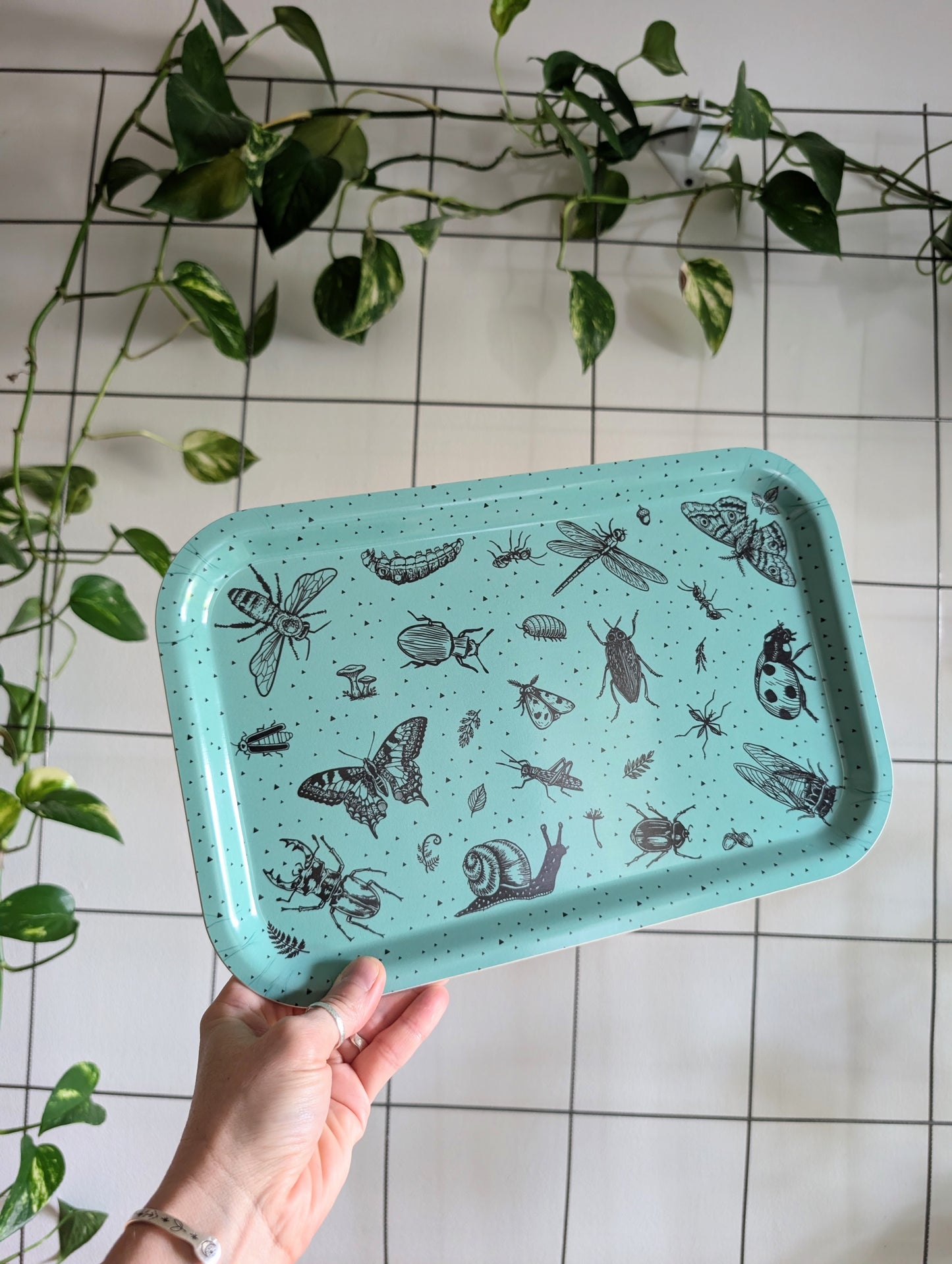 birch wood tray | insecta - aqua blue 13" x 8.5" dishwasher safe