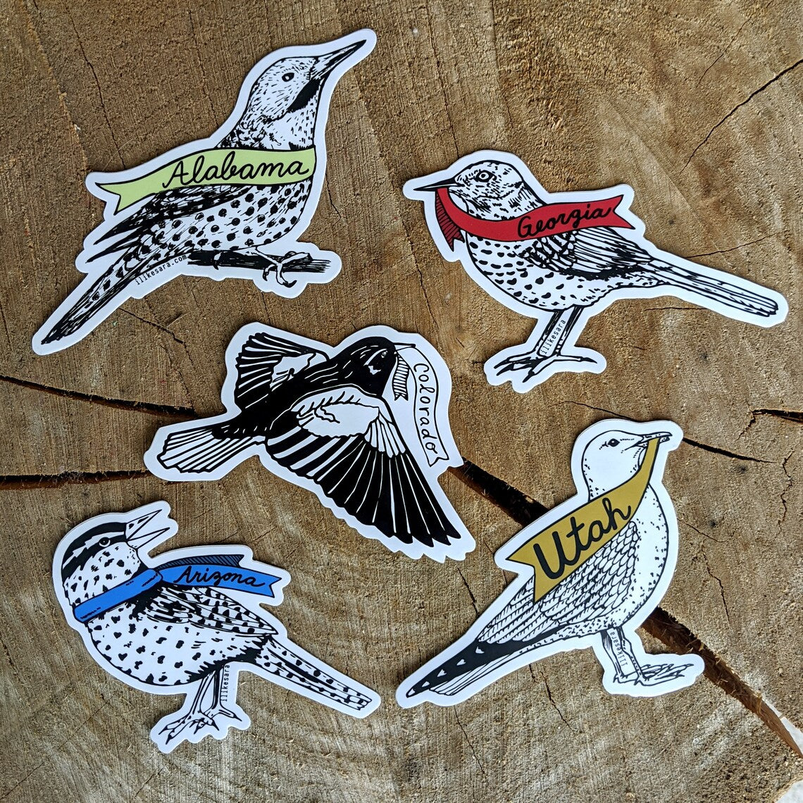 sticker | Alabama bird - waterproof uv-resistant vinyl Northern Flicker decal