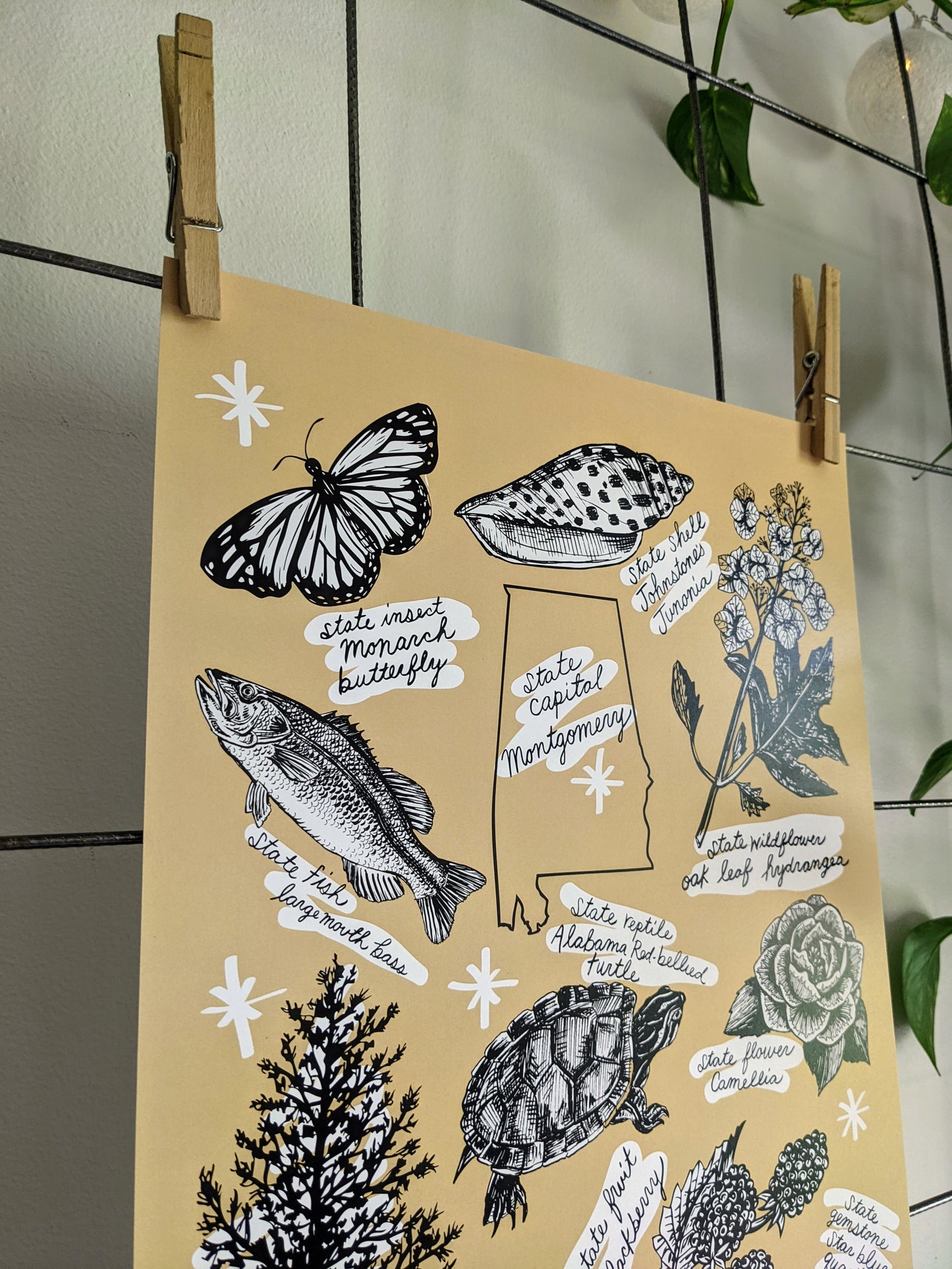 art print | Alabama symbols
