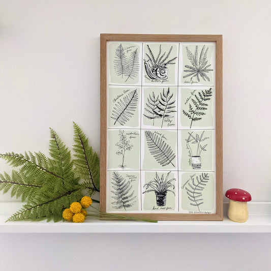 art print | fern specimens