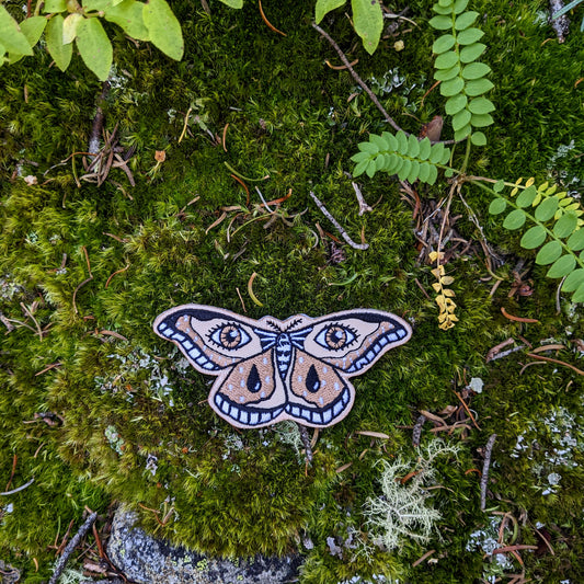 iron-on patch | moth - brown 3.4" x 1.6"
