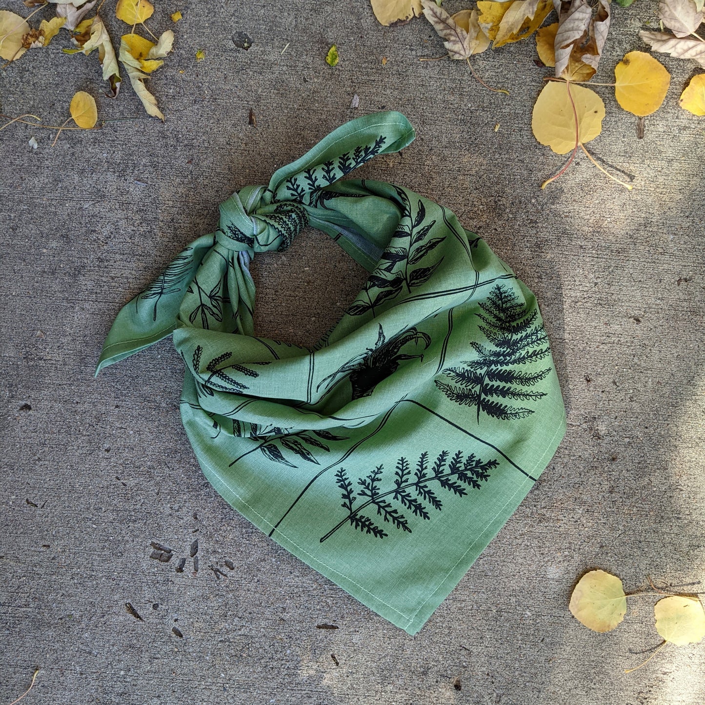 bandana | fern specimen - green grid patterned scarf with plants