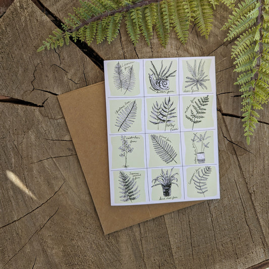greeting card | fern specimen - friendship anytime