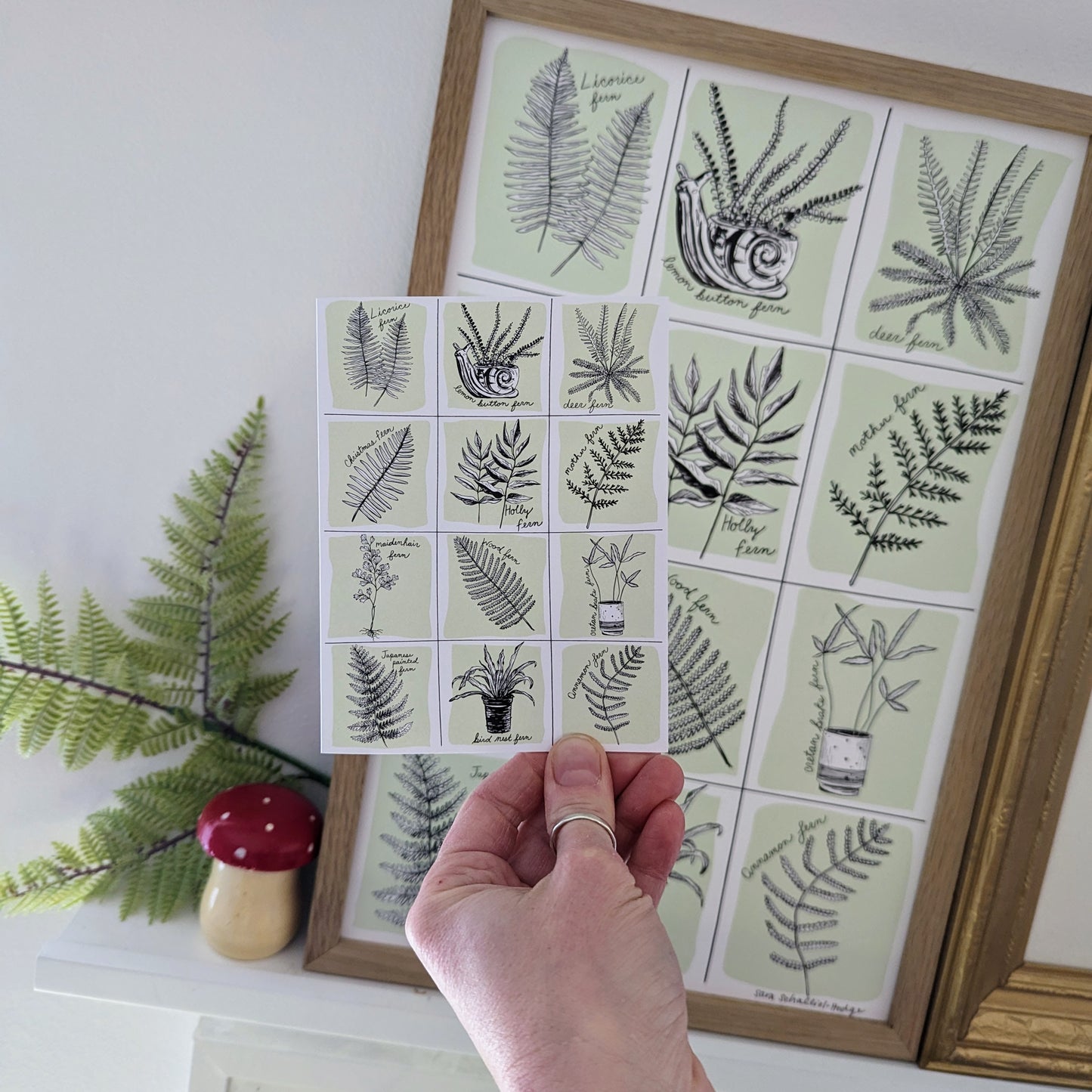 greeting card | fern specimen - friendship anytime