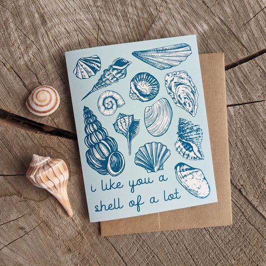 greeting card | i like you a shell of a lot - friendship beach love