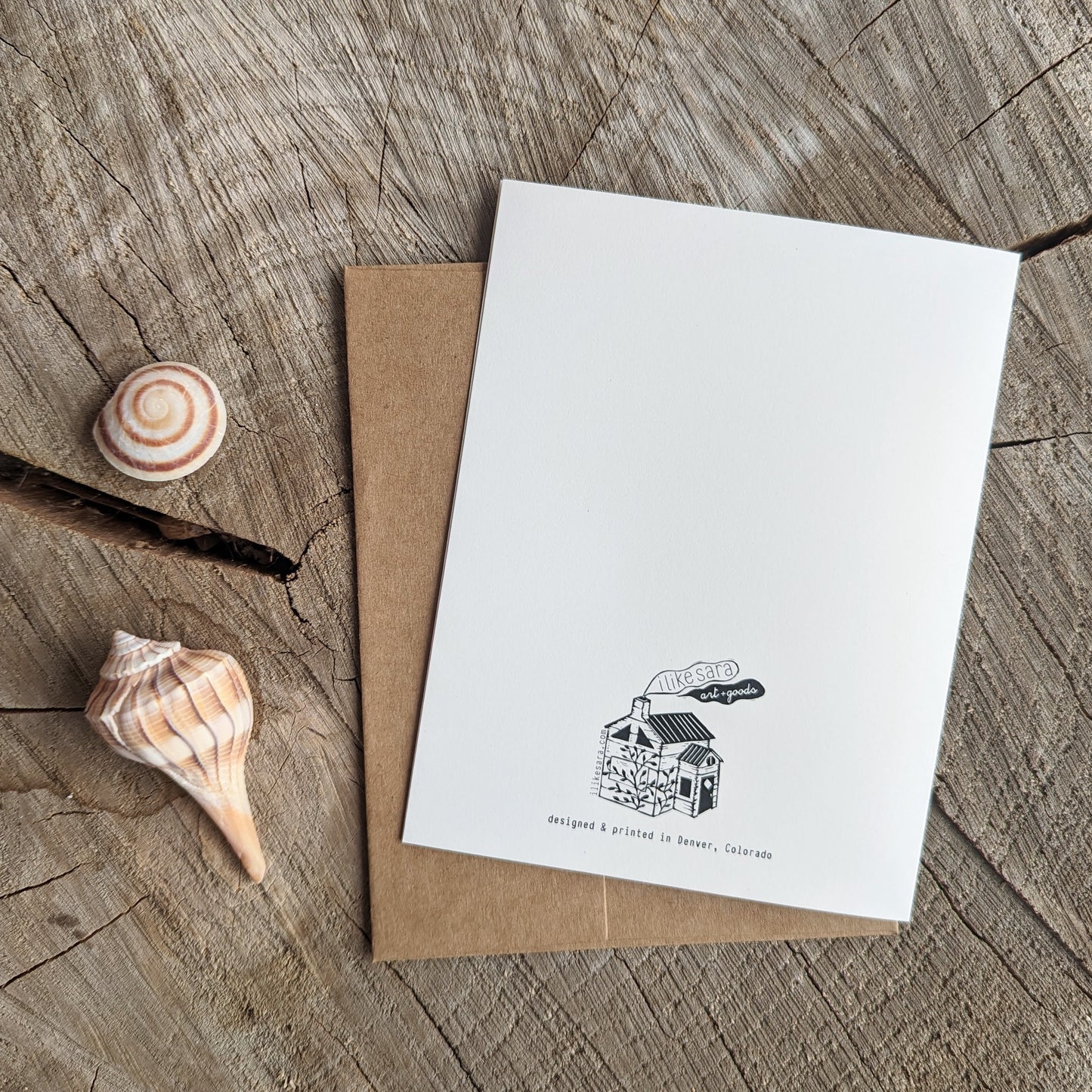 greeting card | i like you a shell of a lot - friendship beach love