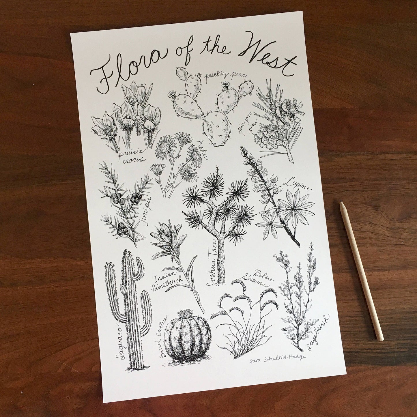 art print | flora of the west