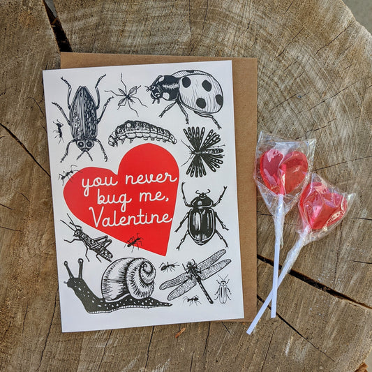 greeting card | never bug me valentine - insect love