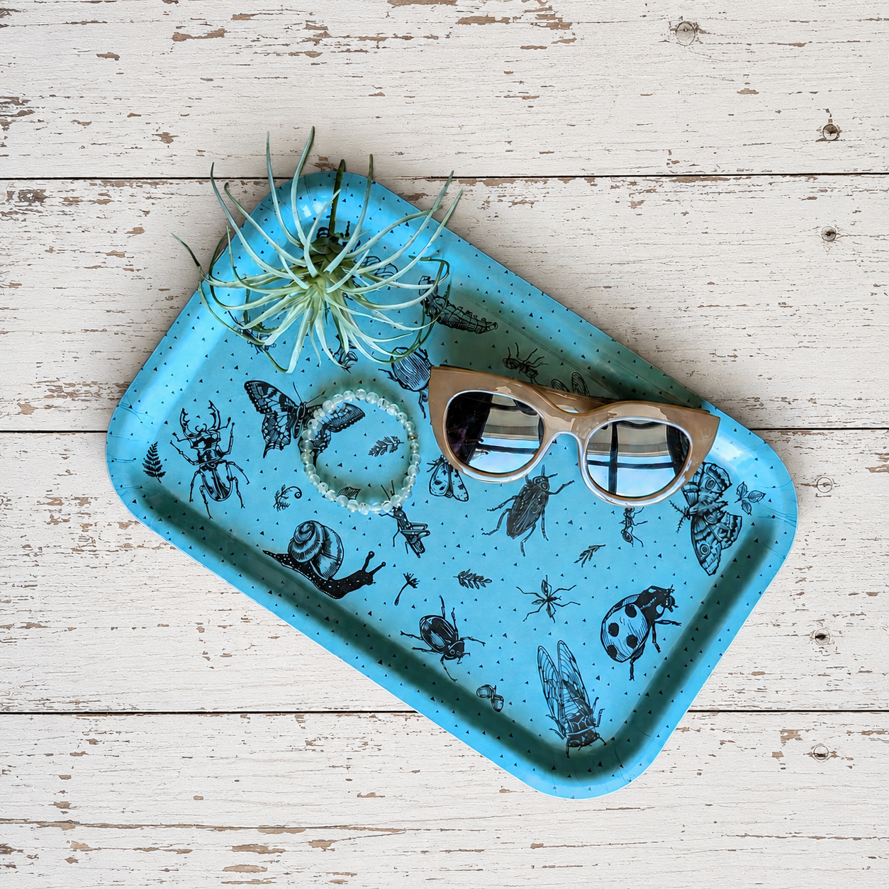 birch wood tray | insecta - aqua blue 13" x 8.5" dishwasher safe