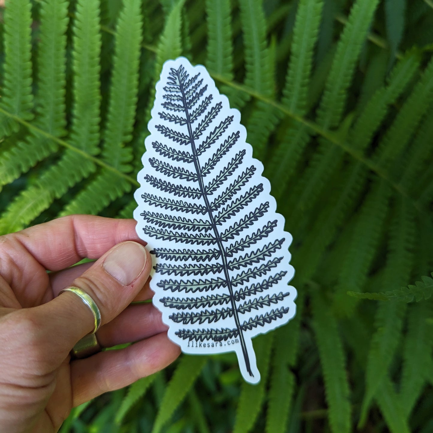 sticker | wood fern - waterproof uv-resistant vinyl plant decal