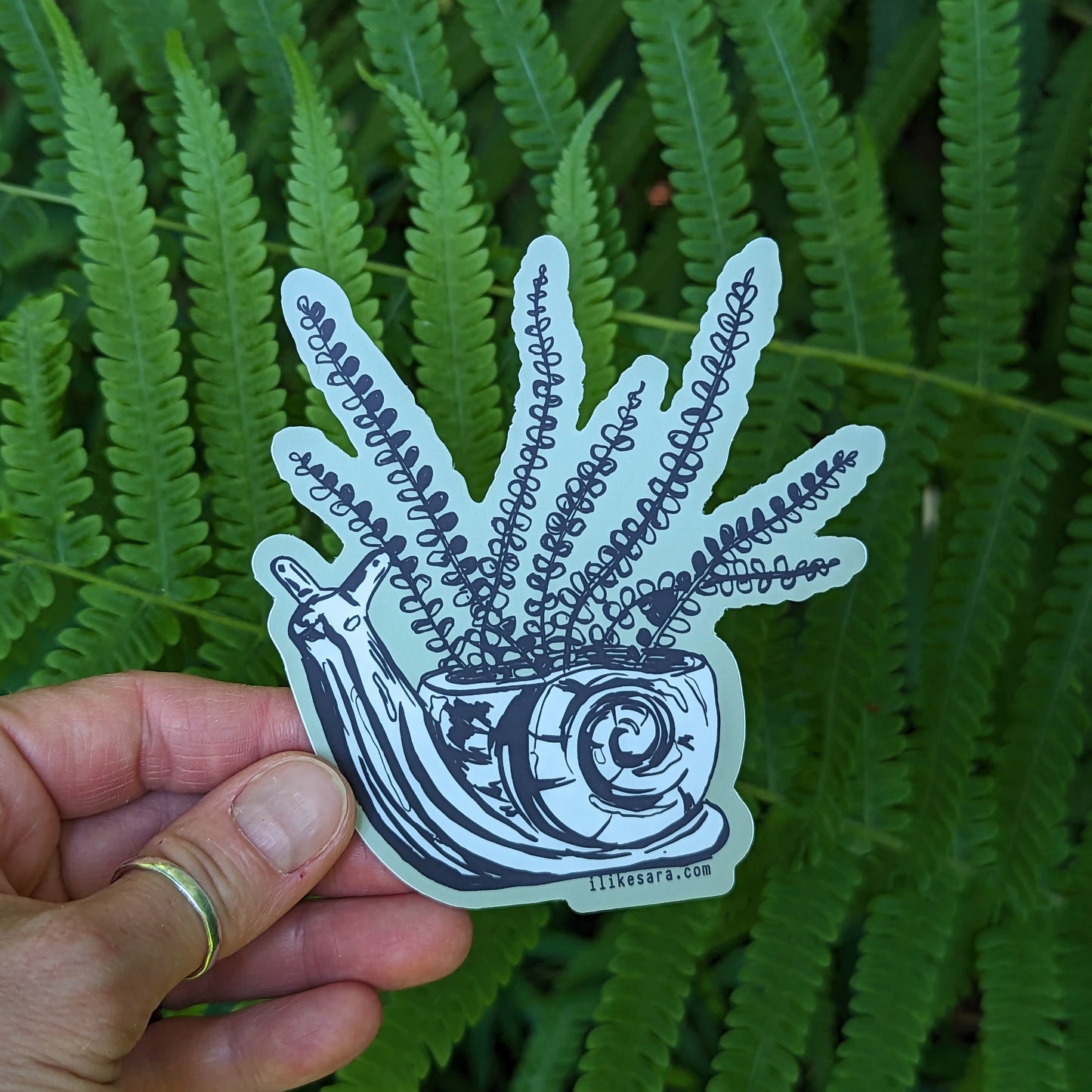 sticker | fern in snail planter - waterproof uv-resistant vinyl plant decal