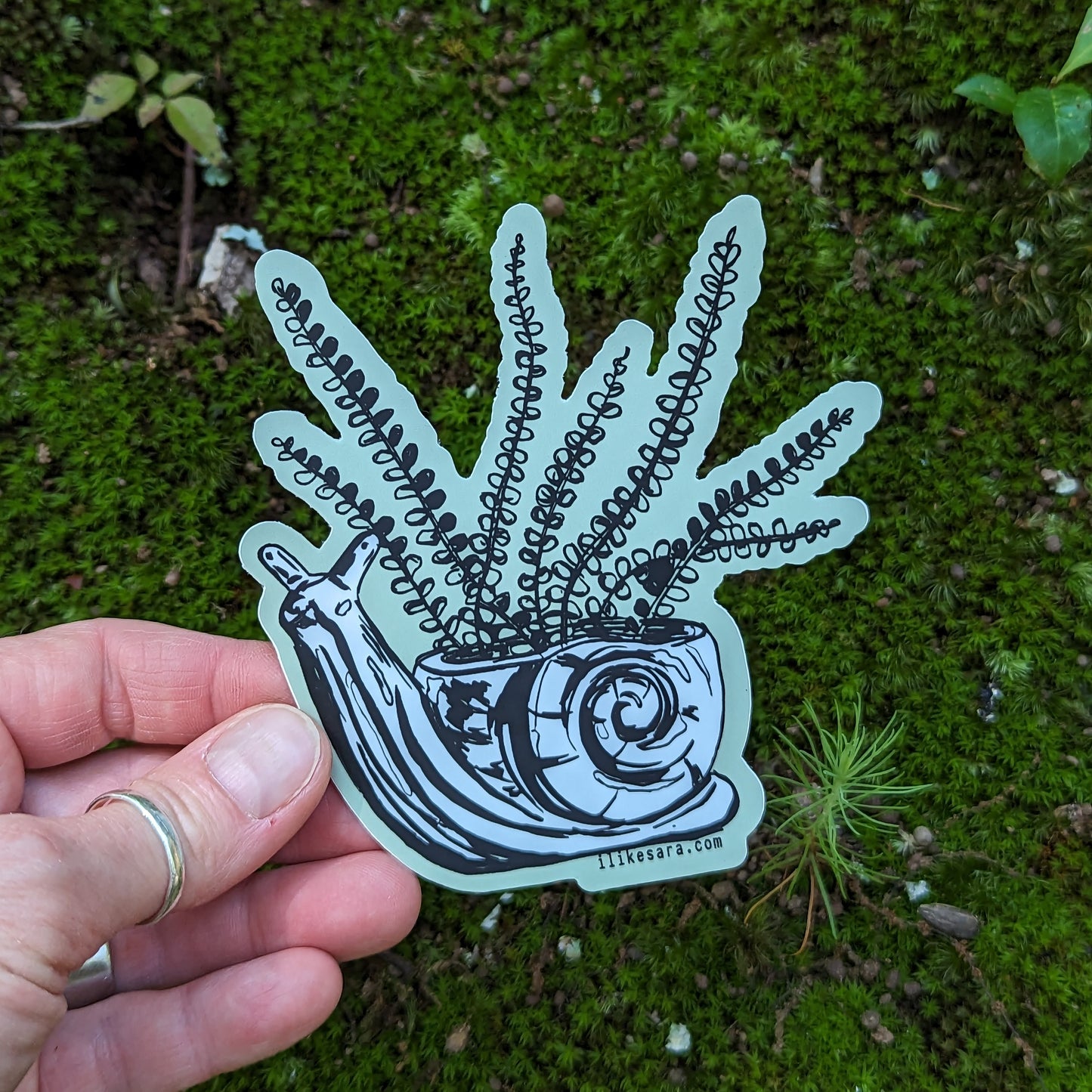 sticker | fern in snail planter - waterproof uv-resistant vinyl plant decal