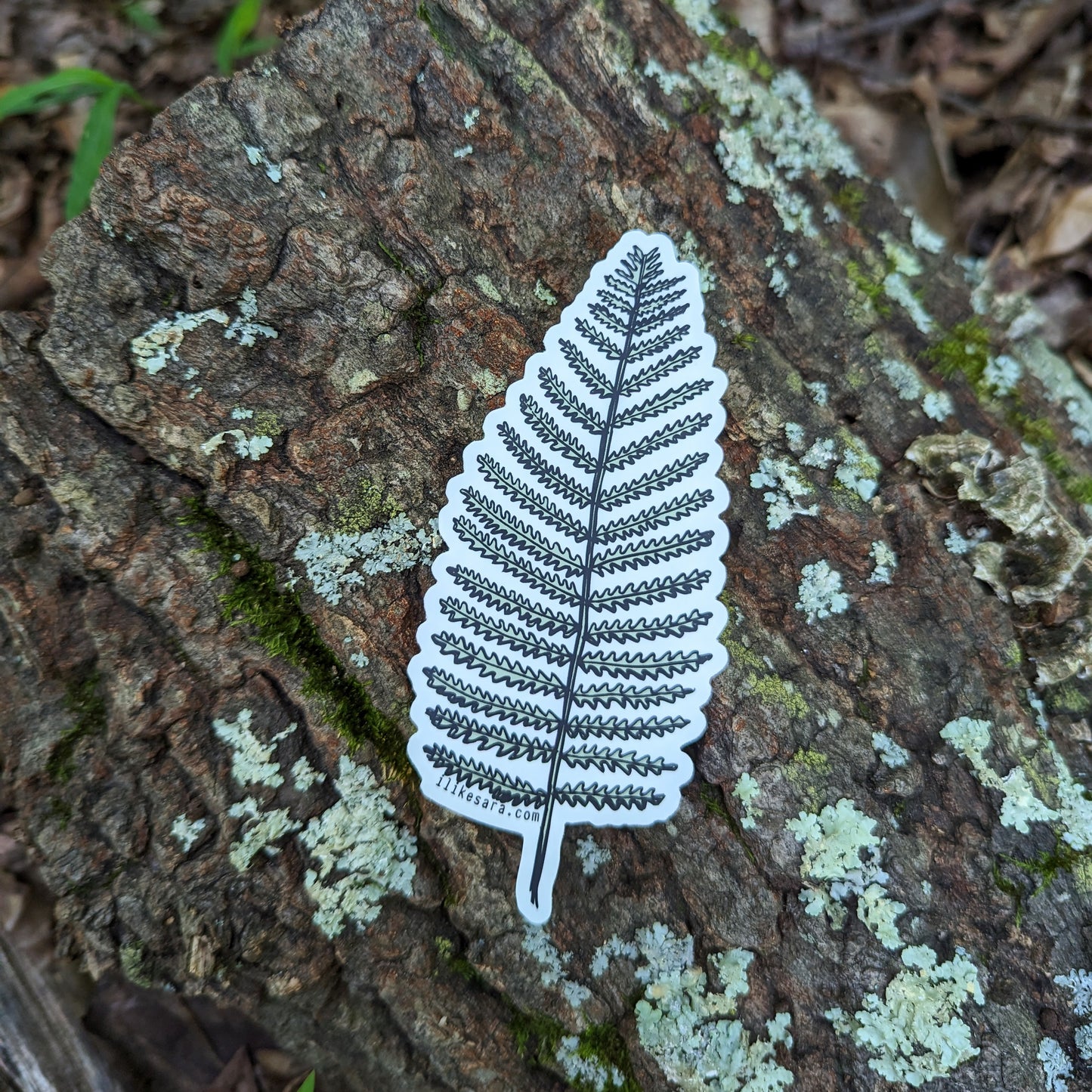 sticker | wood fern - waterproof uv-resistant vinyl plant decal