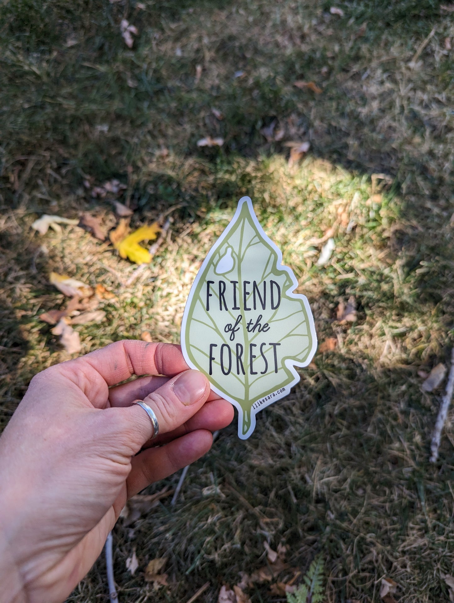 sticker | friend of the forest leaf - waterproof uv-resistant vinyl nature decal