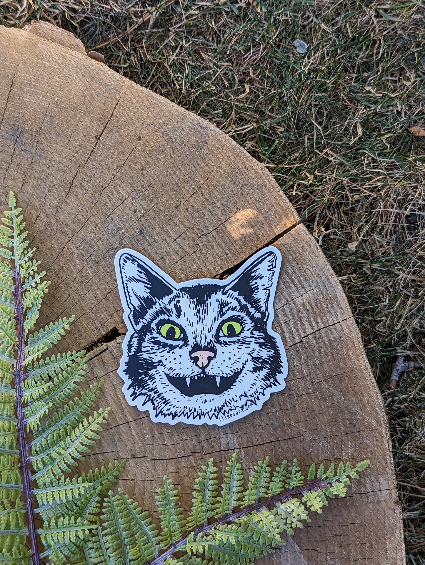 sticker | cat face - waterproof uv-resistant vinyl Western kitty decal