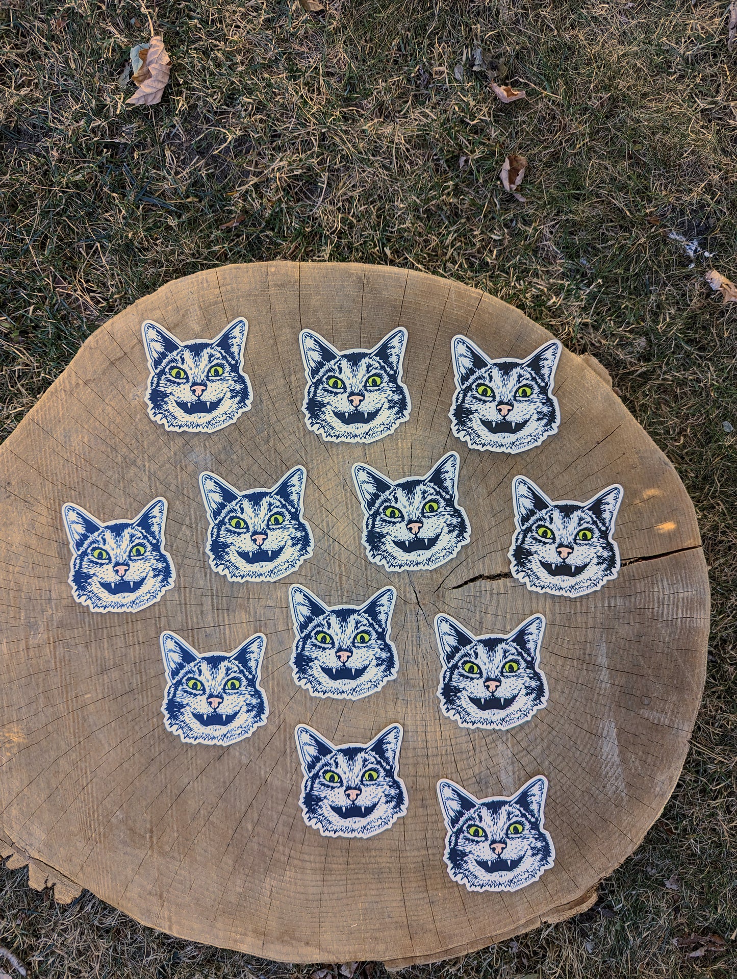 sticker | cat face - waterproof uv-resistant vinyl Western kitty decal