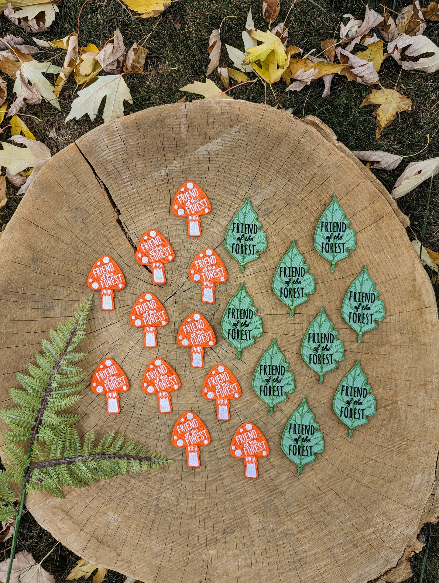 iron-on patch | friend of the forest leaf - green 1.8" x 3.5"