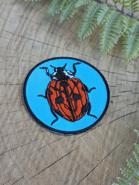 patch | ladybug