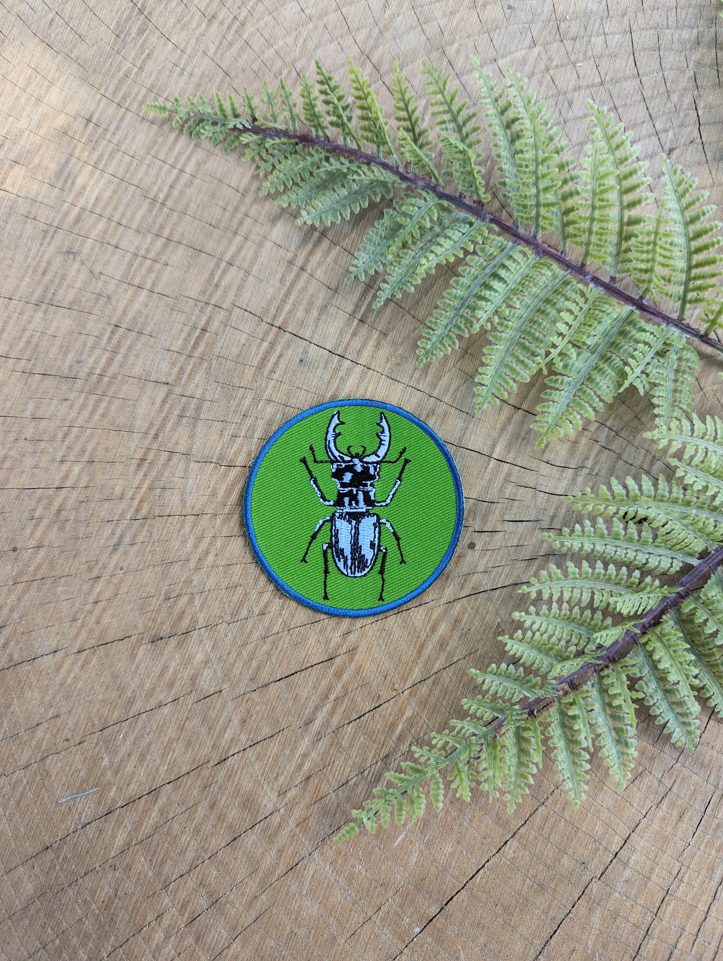 patch | stag beetle