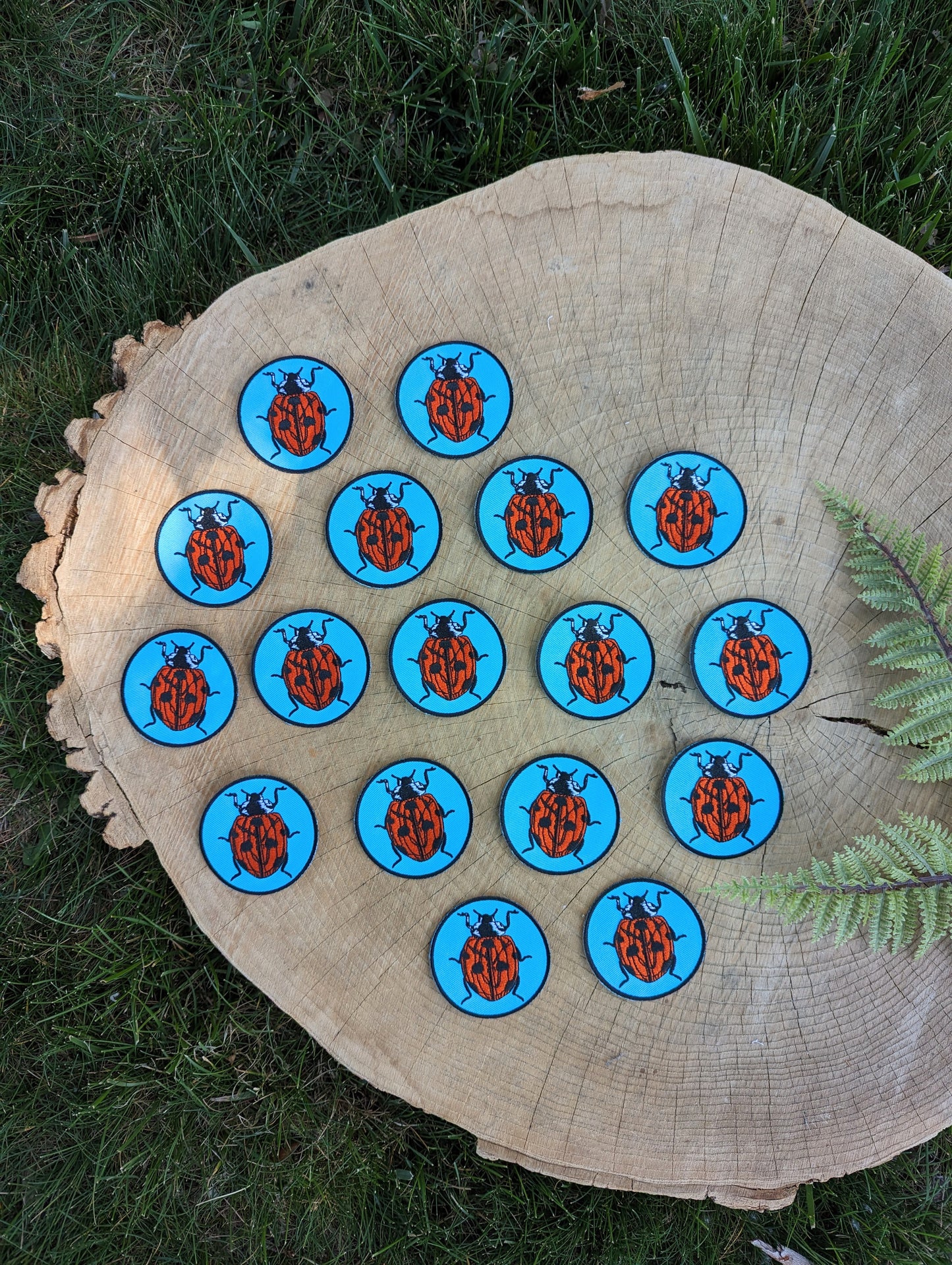 iron-on patch | ladybug - blue & red 2.5" round