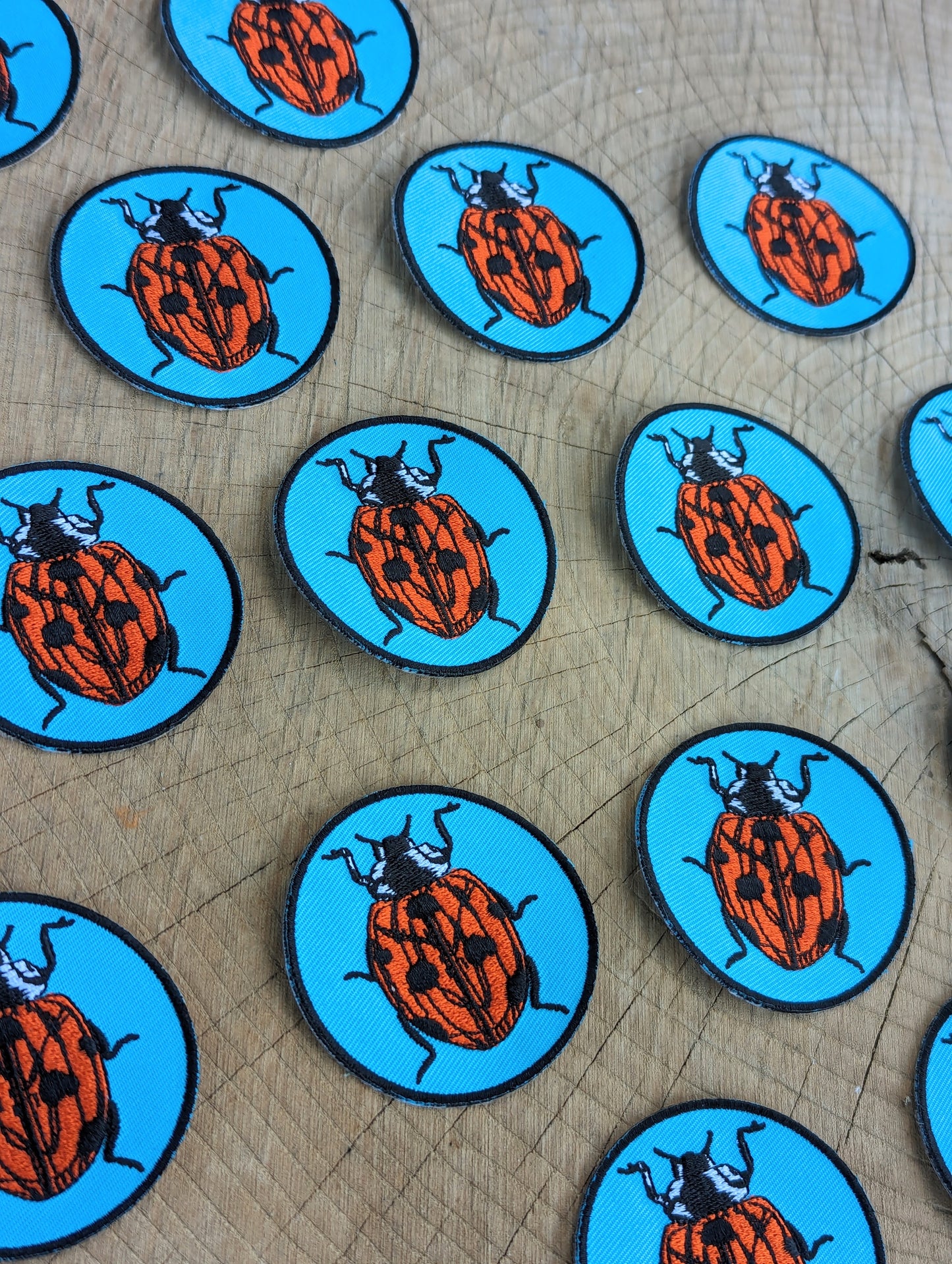 iron-on patch | ladybug - blue & red 2.5" round