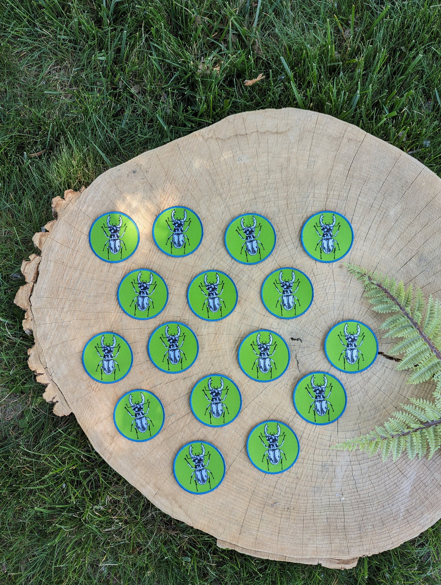 iron-on patch | stag beetle - green 2.5" round