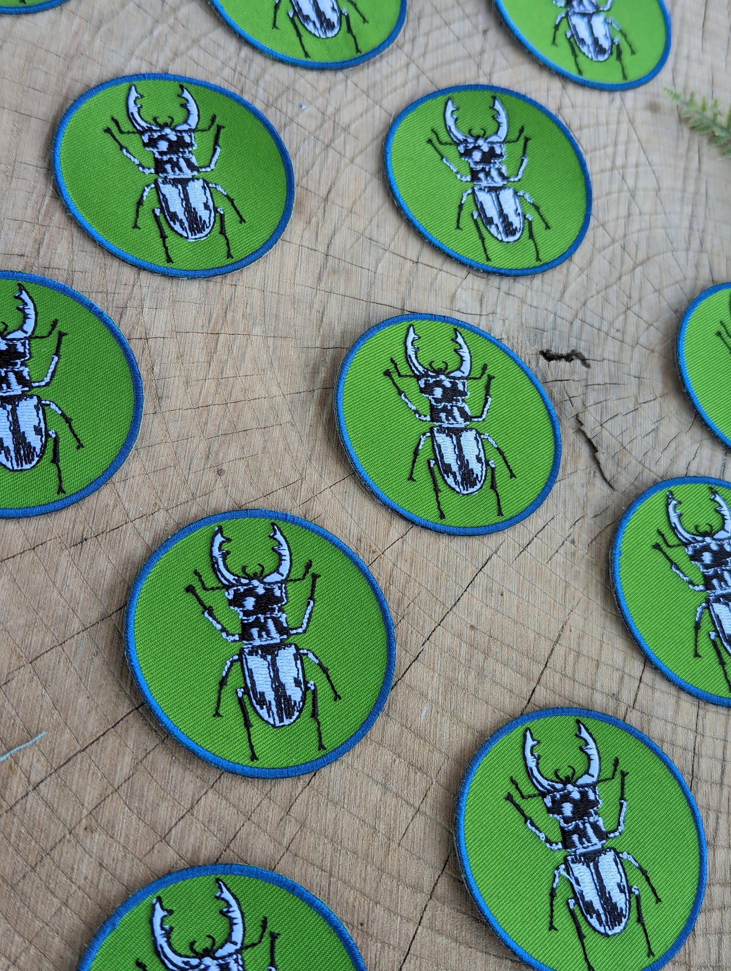 iron-on patch | stag beetle - green 2.5" round