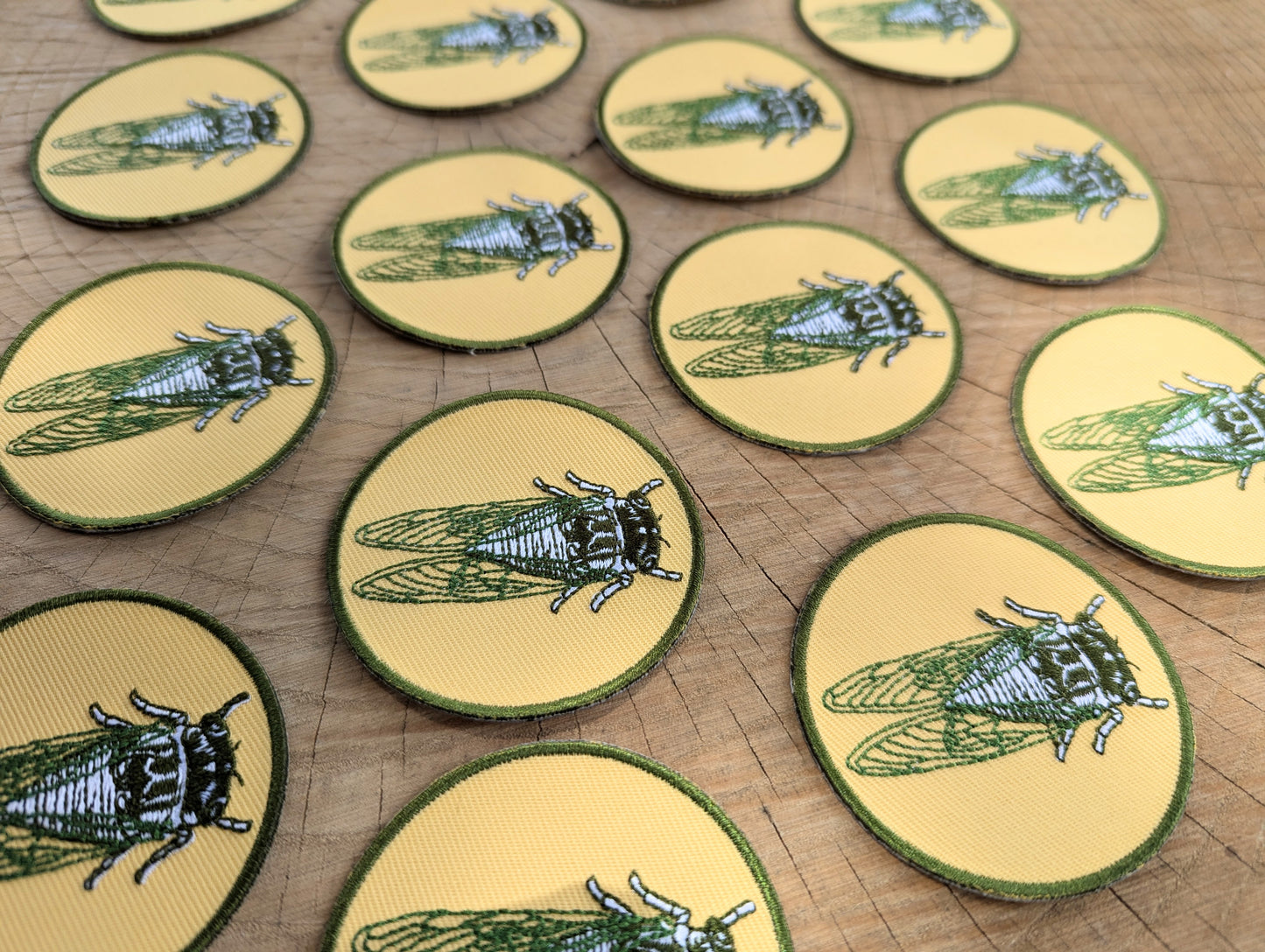 iron-on patch | cicada - 2.5" round
