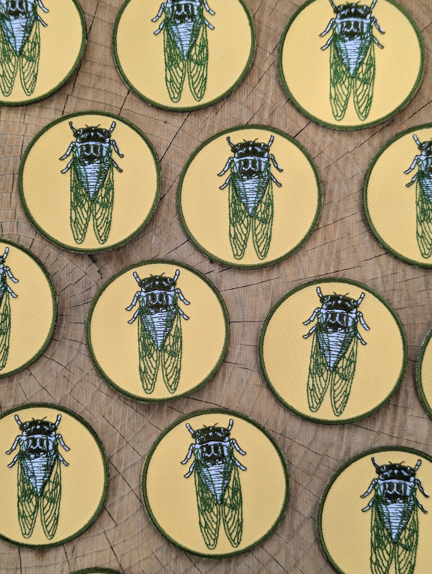 iron-on patch | cicada - 2.5" round