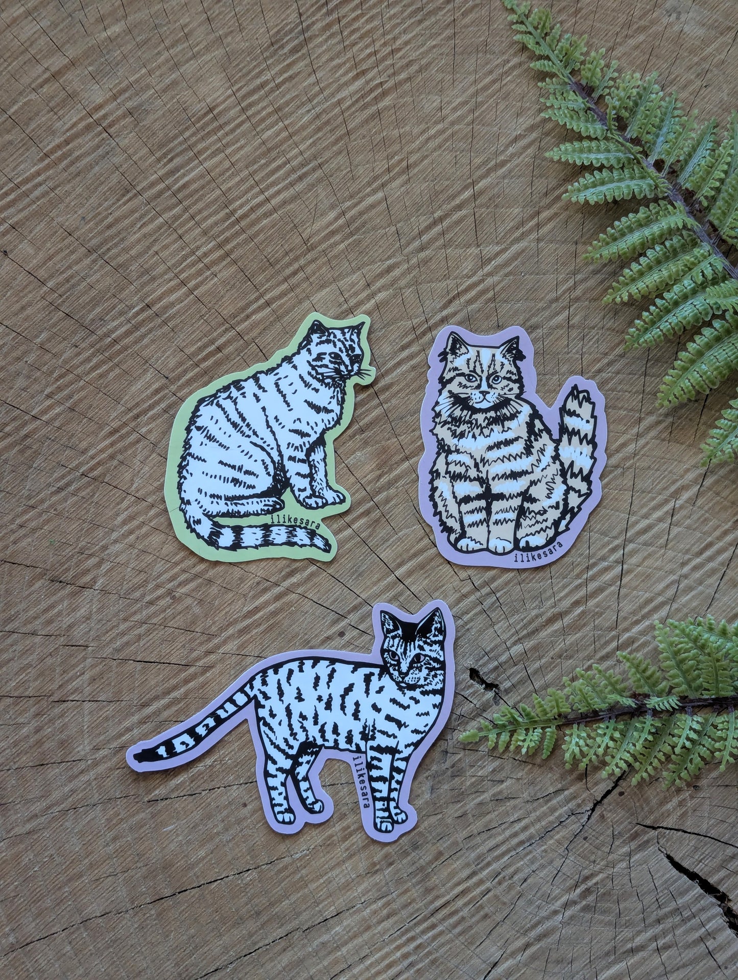 sticker | standing tiger cat - waterproof uv-resistant vinyl kitty decal