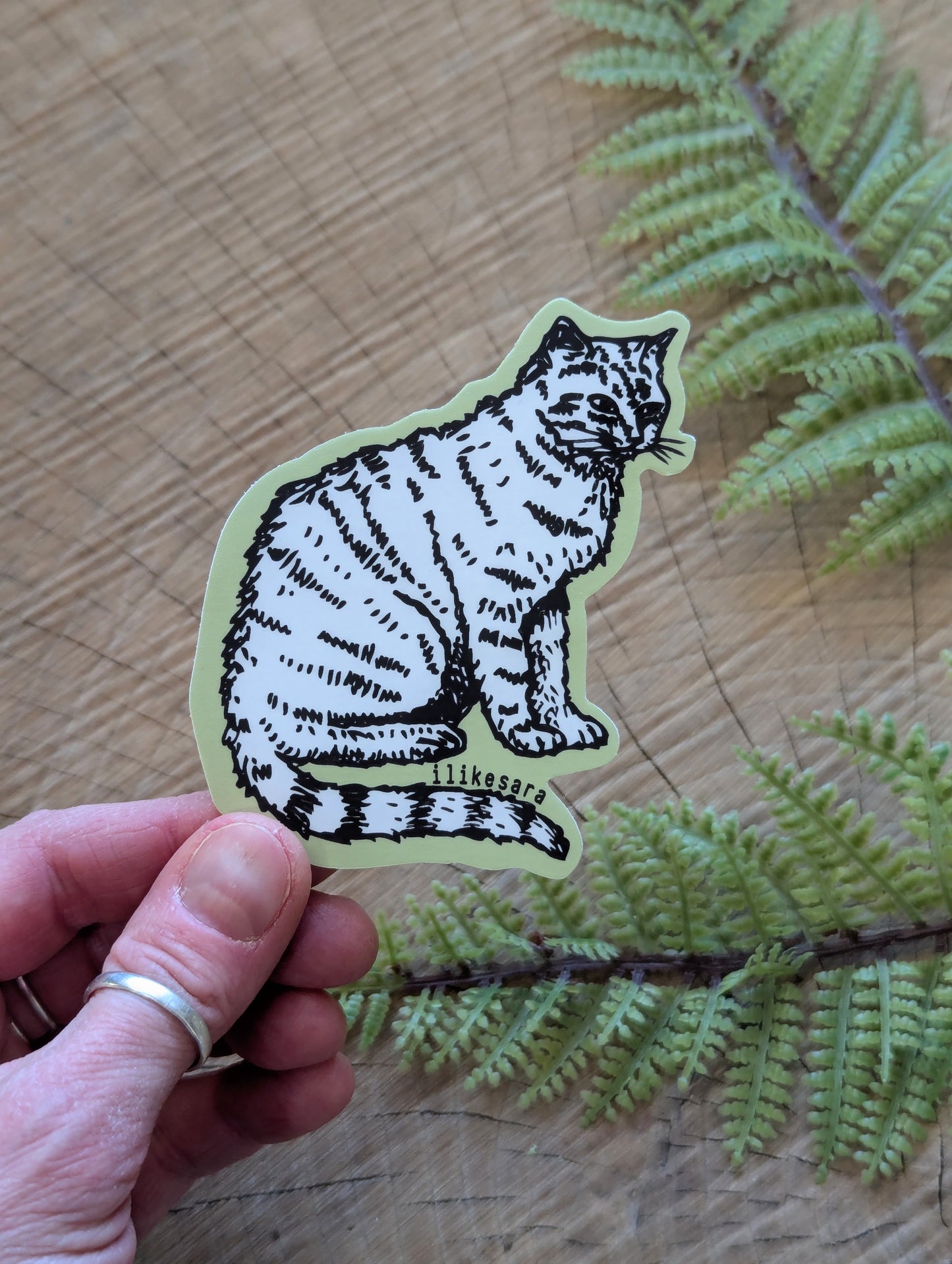 sticker | sitting white cat - waterproof uv-resistant vinyl kitty decal