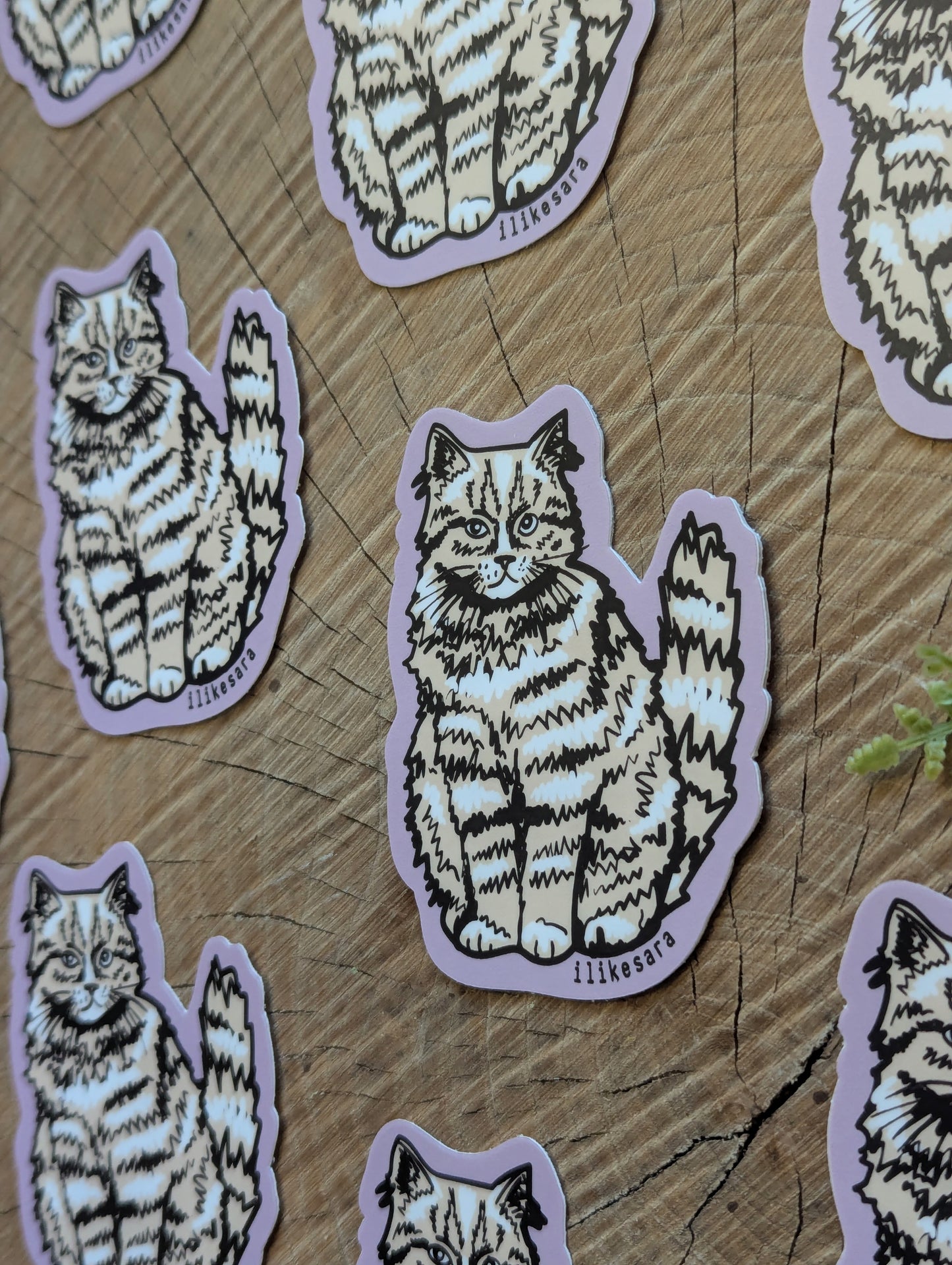 sticker | sitting fluffy tan cat - waterproof uv-resistant vinyl kitty decal