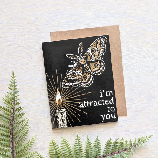 greeting card | i'm attracted to you moth - love card