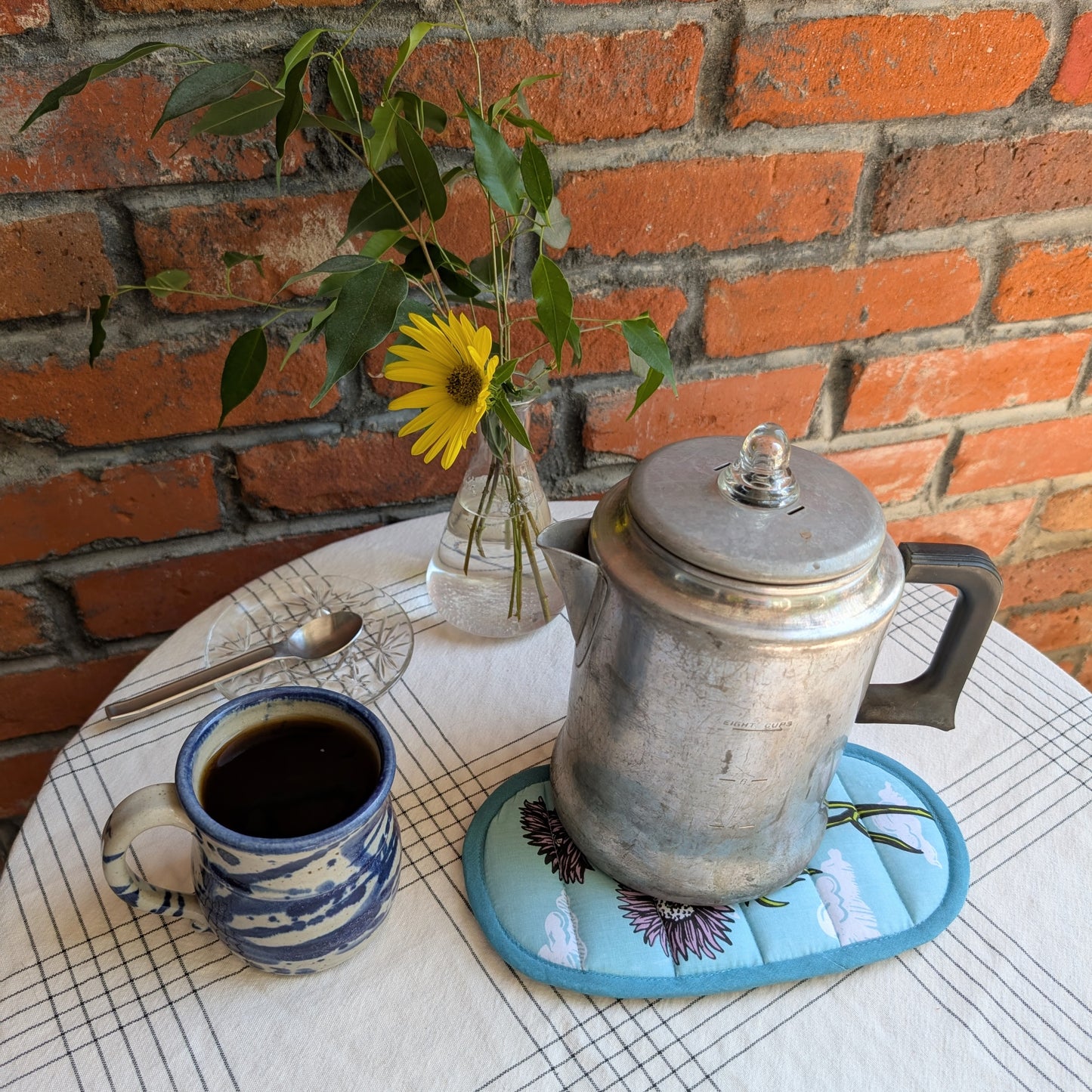 insulated pot holder / hot pad | aster flower & clouds
