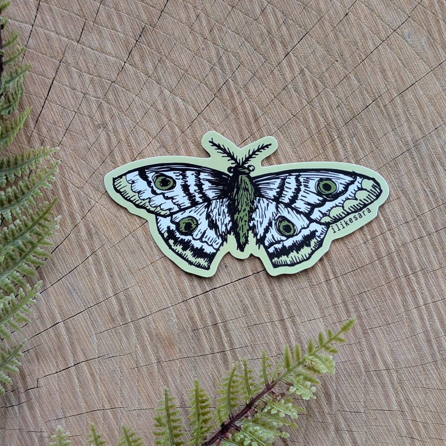 sticker | polyphemus moth - waterproof uv-resistant vinyl bug / insect decal