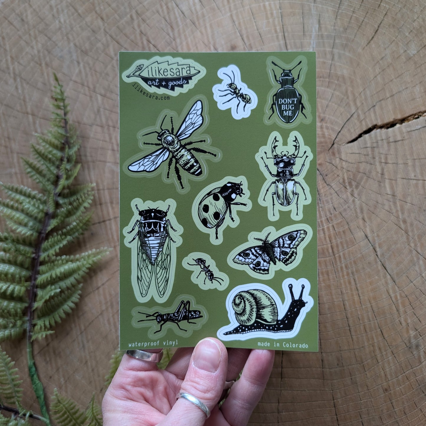 sticker sheet | insecta